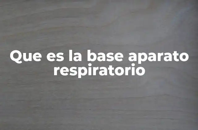 Que es la Base Aparato Respiratorio