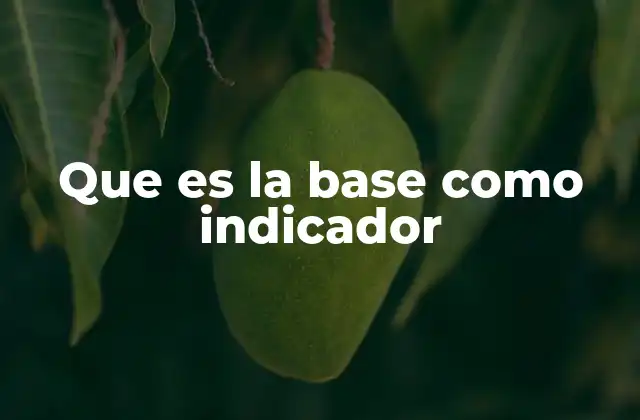 Que es la Base como Indicador