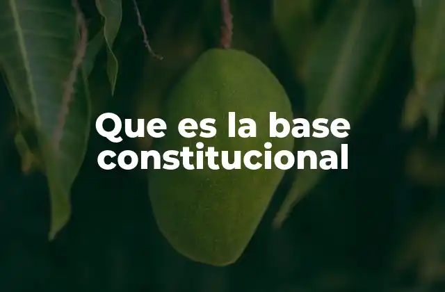 Que es la Base Constitucional 2 La base legal de las instituciones estatales