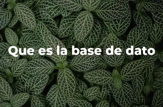 Que es la Base de Dato