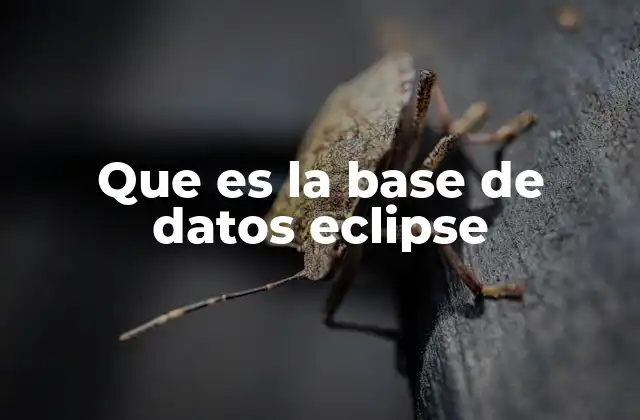 Cómo Eclipse organiza y gestiona los proyectos