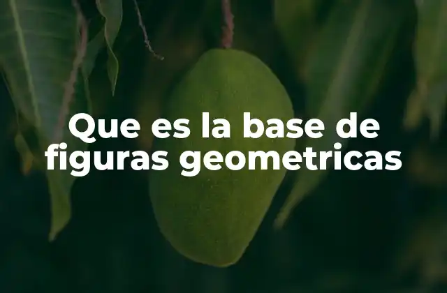 Que es la Base de Figuras Geometricas