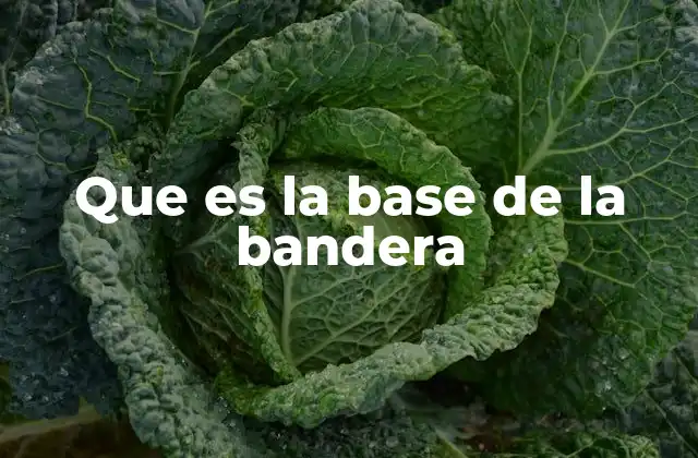 Que es la Base de la Bandera