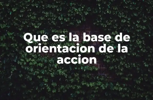 Que es la Base de Orientacion de la Accion