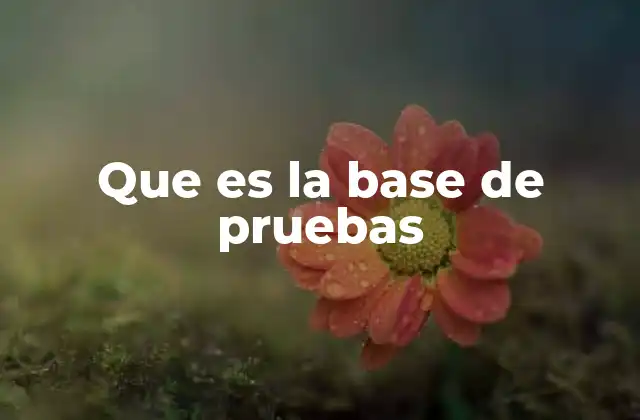 Que es la Base de Pruebas