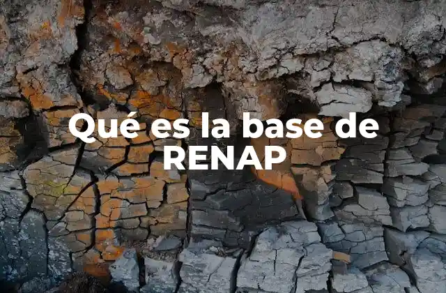 Qué es la Base de Renap