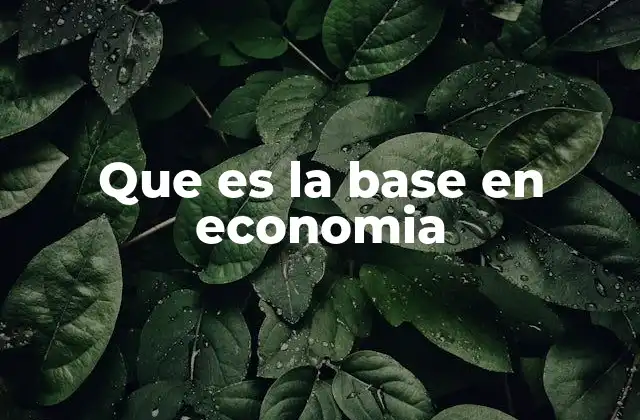 Que es la Base en Economia