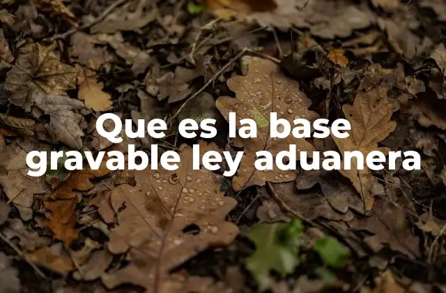 Que es la Base Gravable Ley Aduanera