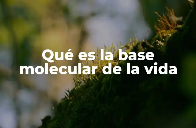 Qué es la Base Molecular de la Vida