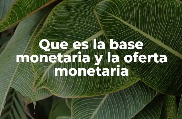 Que es la Base Monetaria y la Oferta Monetaria