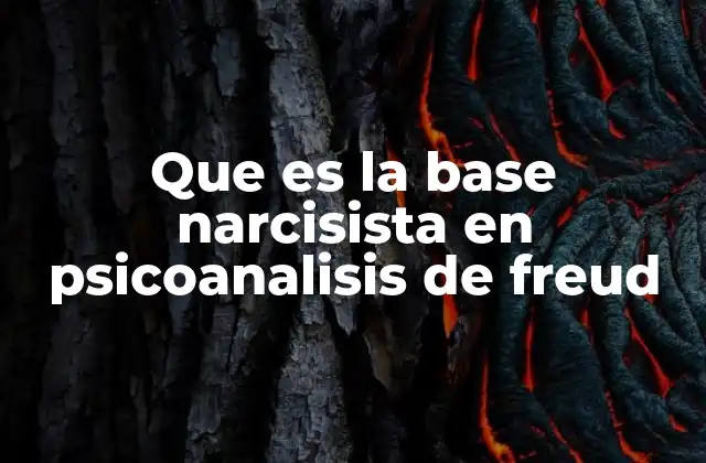 El desarrollo psíquico y la base narcisista