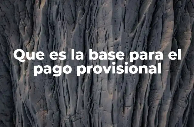 Que es la Base para el Pago Provisional
