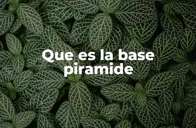 Que es la Base Piramide
