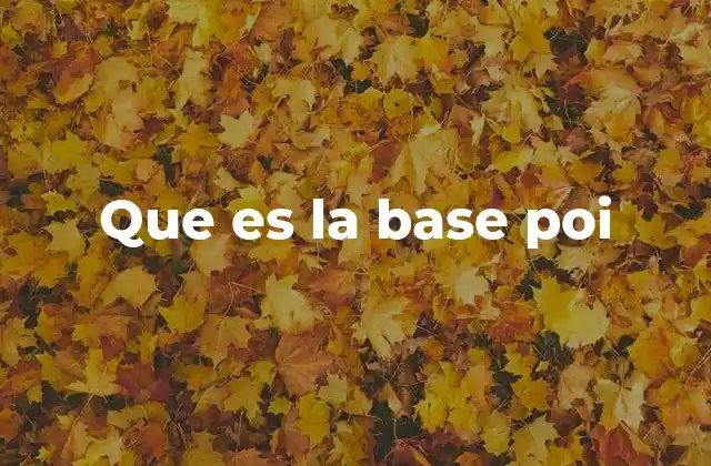 Que es la Base Poi