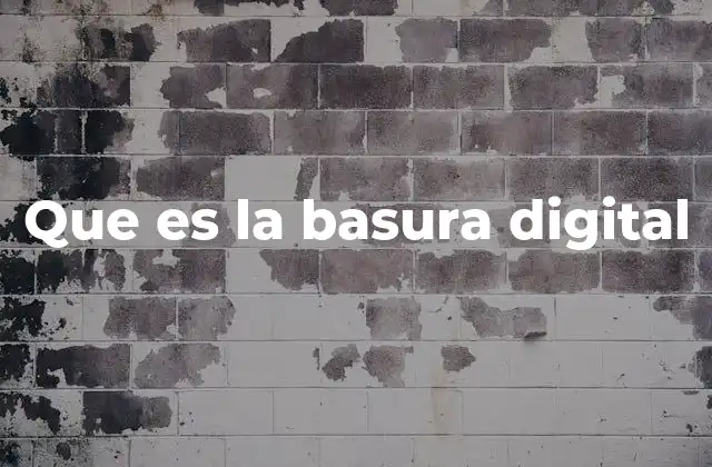 Que es la Basura Digital