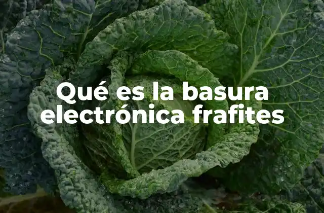 Qué es la Basura Electrónica Frafites