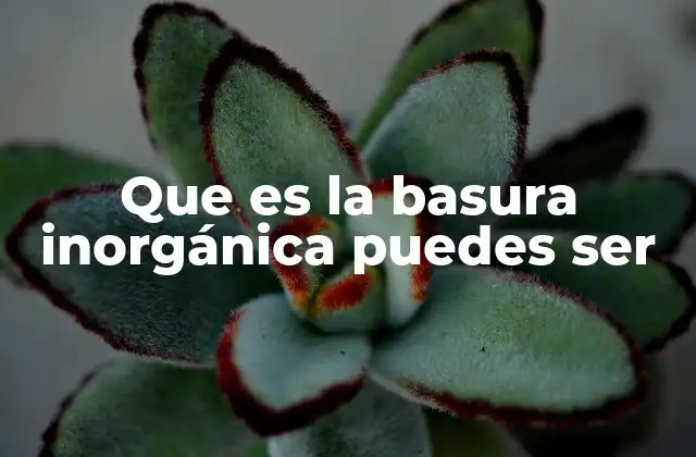 Que es la Basura Inorgánica Puedes Ser