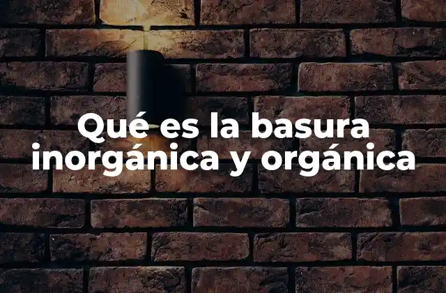Qué es la Basura Inorgánica y Orgánica