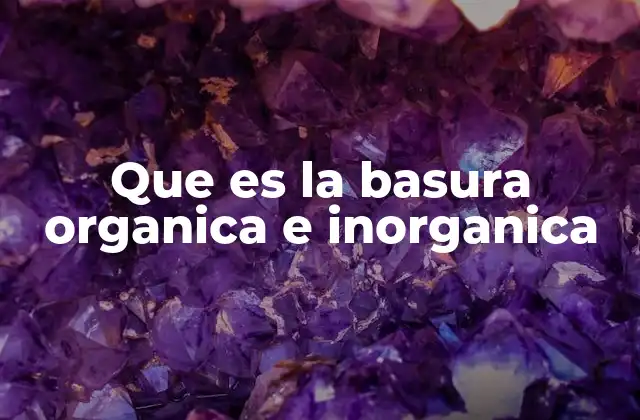 Que es la Basura Organica e Inorganica