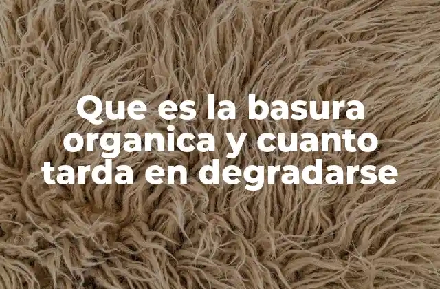 Que es la Basura Organica y Cuanto Tarda en Degradarse