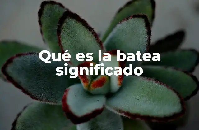 Qué es la Batea Significado