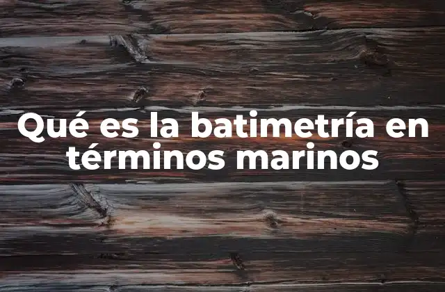 Qué es la Batimetría en Términos Marinos 2 La importancia de comprender la estructura submarina