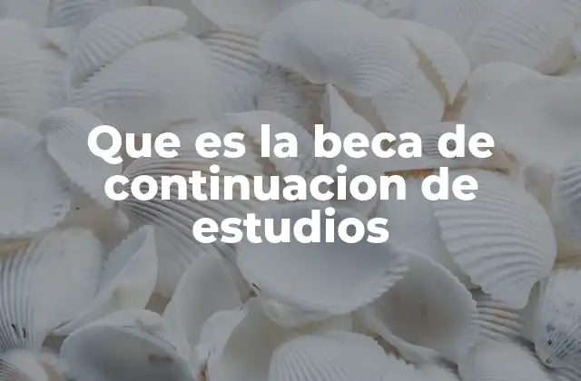 Que es la Beca de Continuacion de Estudios