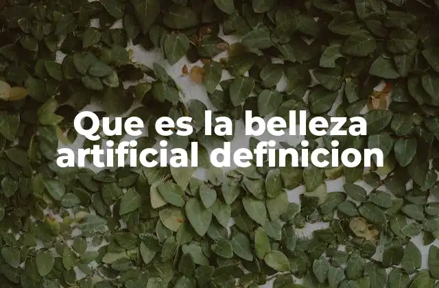 Que es la Belleza Artificial Definicion