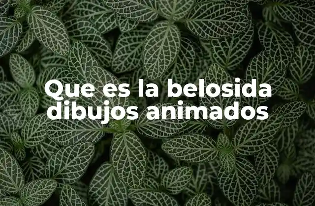 Que es la Belosida Dibujos Animados