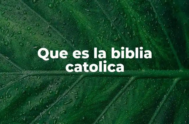 Que es la Biblia Catolica