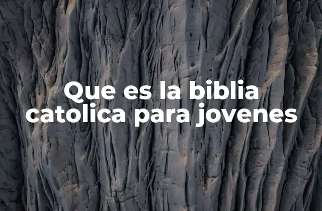 Que es la Biblia Catolica para Jovenes