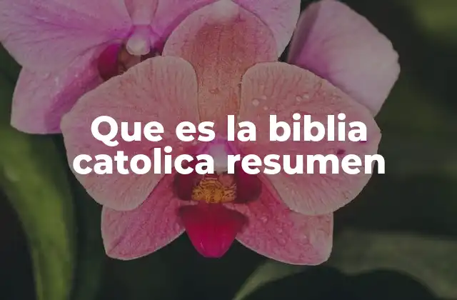 Que es la Biblia Catolica Resumen