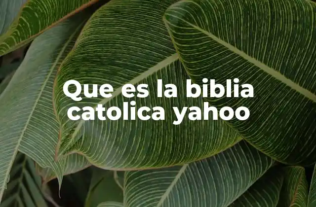 El rol de la Biblia Católica en la espiritualidad cristiana