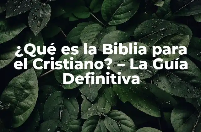 ¿qué es la Biblia para el Cristiano? – la Guía Definitiva