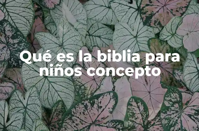 Qué es la Biblia para Niños Concepto