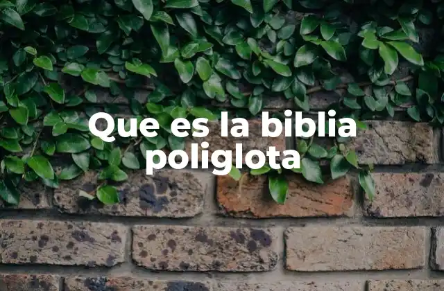 Que es la Biblia Poliglota