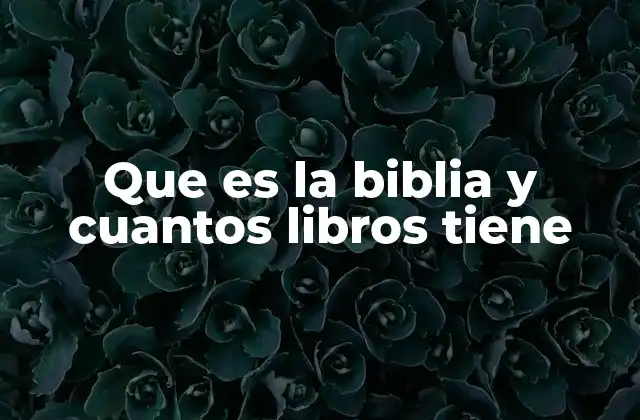Que es la Biblia y Cuantos Libros Tiene 2 La importancia histórica y espiritual de la Biblia