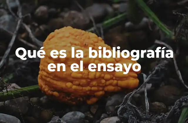 Qué es la Bibliografía en el Ensayo