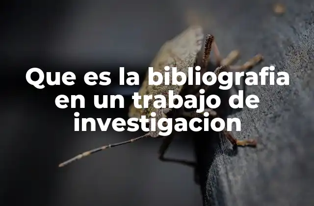 Que es la Bibliografia en un Trabajo de Investigacion