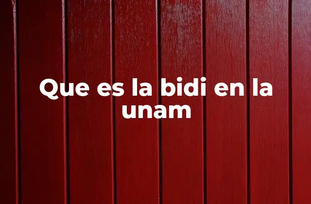 El papel de las becas en la formación universitaria