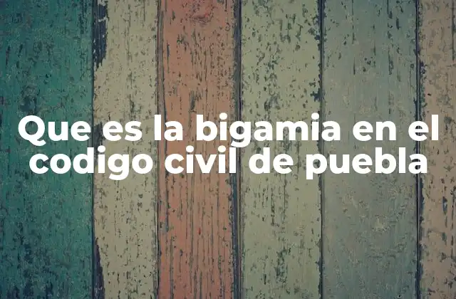 Que es la Bigamia en el Codigo Civil de Puebla