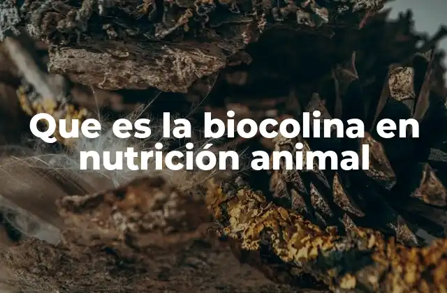 Que es la Biocolina en Nutrición Animal