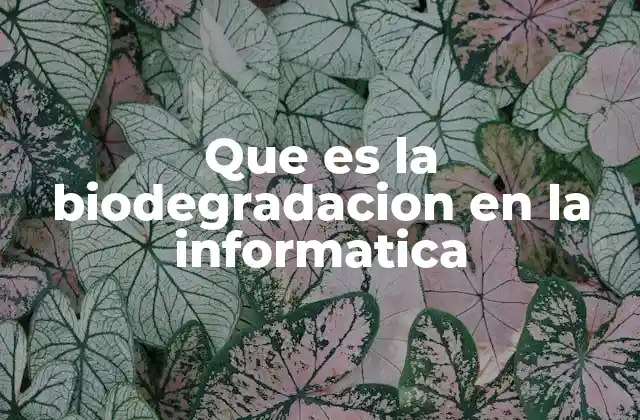 Que es la Biodegradacion en la Informatica