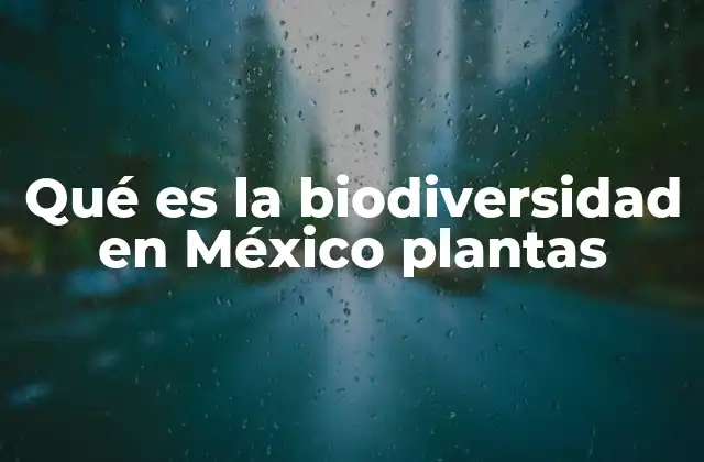 Qué es la Biodiversidad en México Plantas
