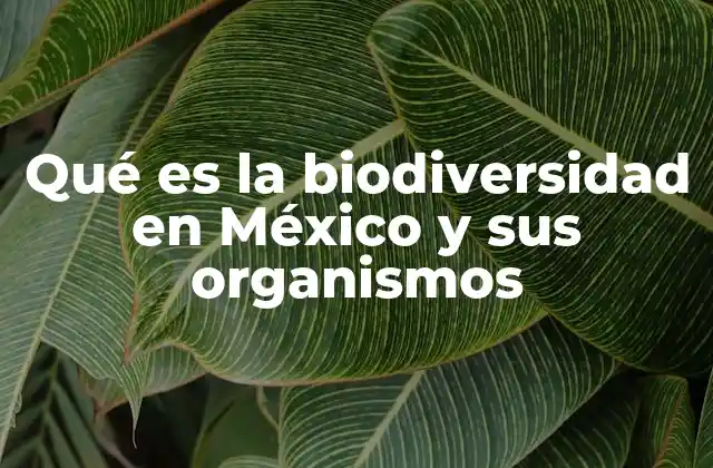 Qué es la Biodiversidad en México y Sus Organismos