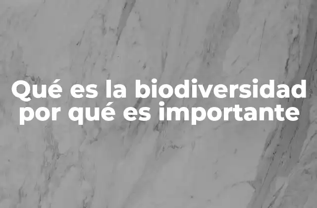 Qué es la Biodiversidad por Qué es Importante 2 El papel de los ecosistemas en la preservación de la vida