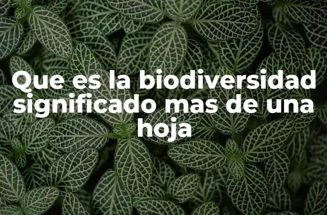 Que es la Biodiversidad Significado mas de una Hoja