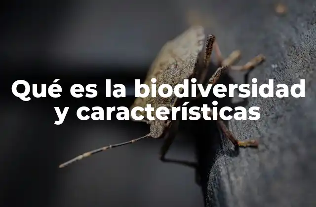 Qué es la Biodiversidad y Características 2 El valor de la vida en todas sus formas