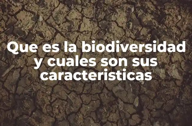 Que es la Biodiversidad y Cuales Son Sus Caracteristicas