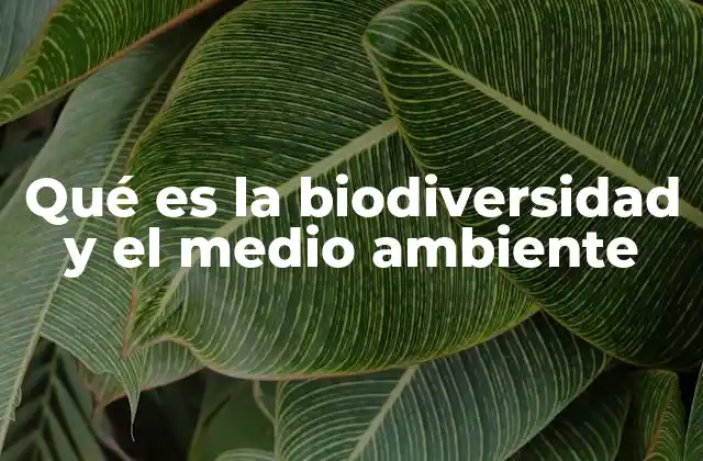 Qué es la Biodiversidad y el Medio Ambiente